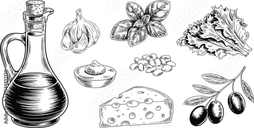 Sketch of olive oil, garlic, basil, lettuce, cheese and other foods