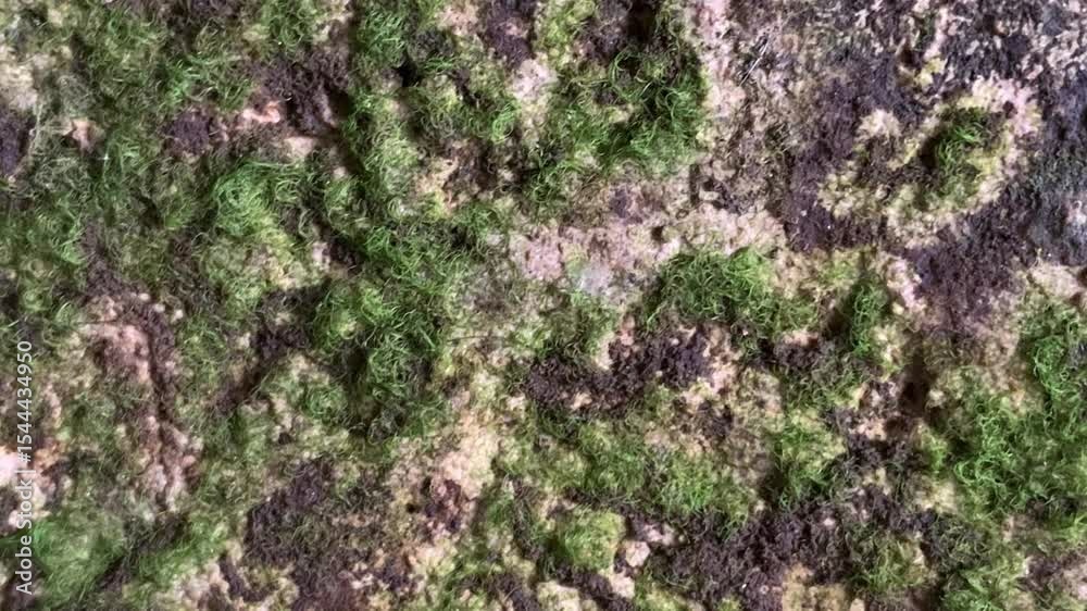 texture abstact wave footage