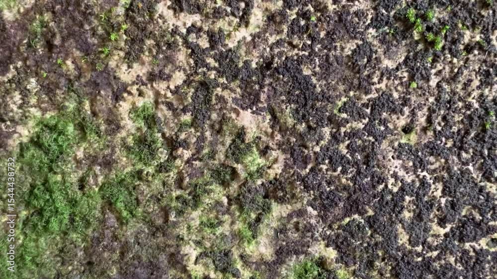 texture abstact wave footage