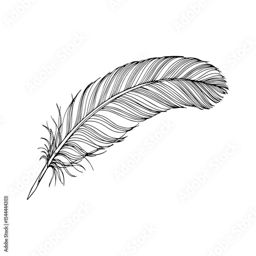 Minimalist Black Fallen Feather Silhouette on White Background