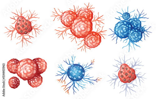 Colorful Vector Illustration of Biological Cells