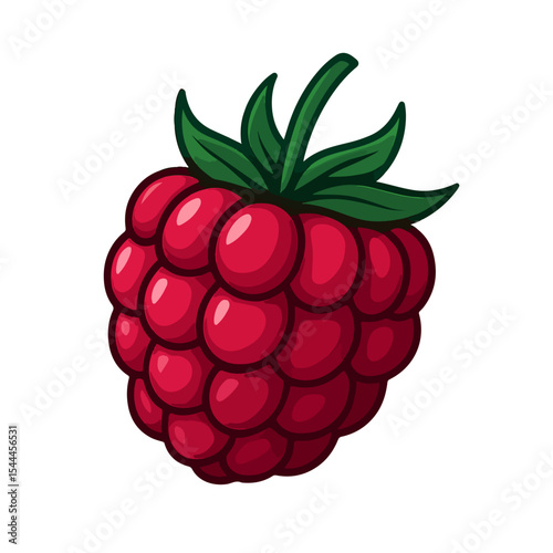 raspberry fruit vector illustration