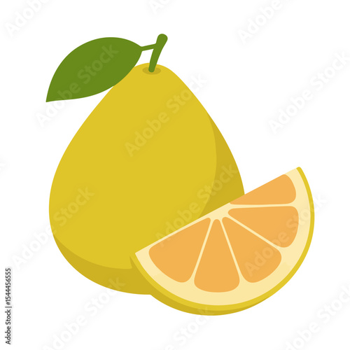 pomelo fruit vector illustration