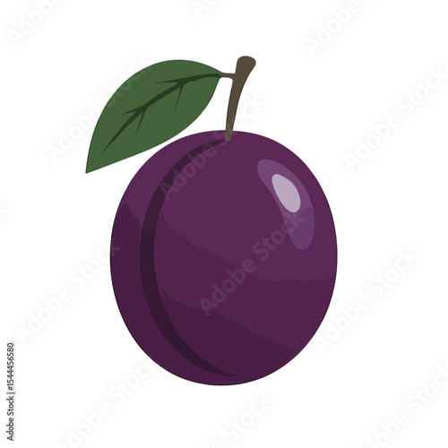 plum fruit vector illustration