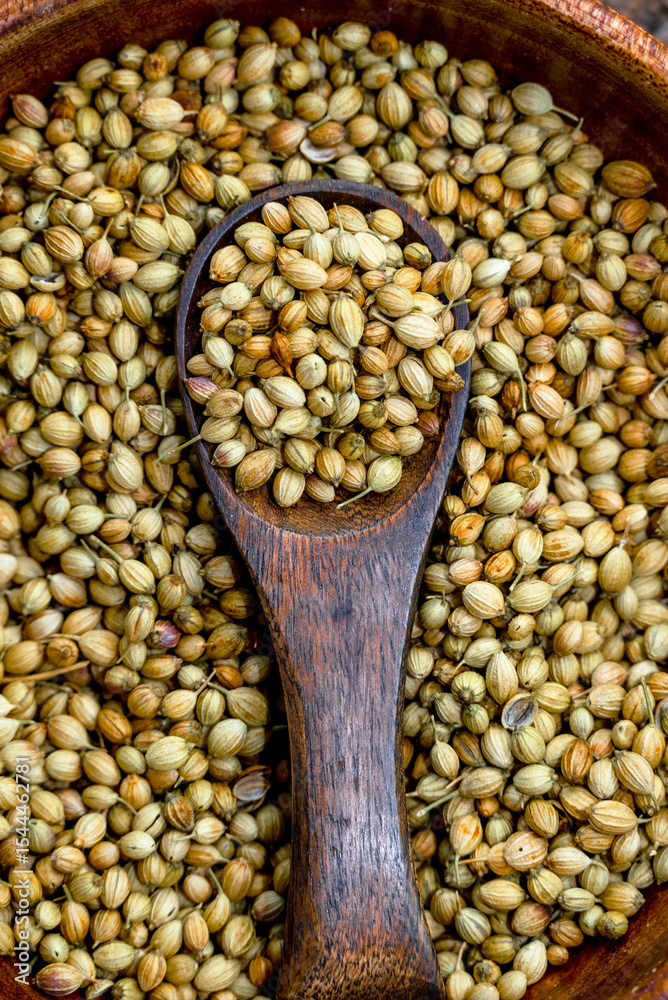 Obraz premium Spice coriander (Coriandrum sativum) seeds in wooden bowl and spoon on wooden background. Indian cuisine, ayurveda