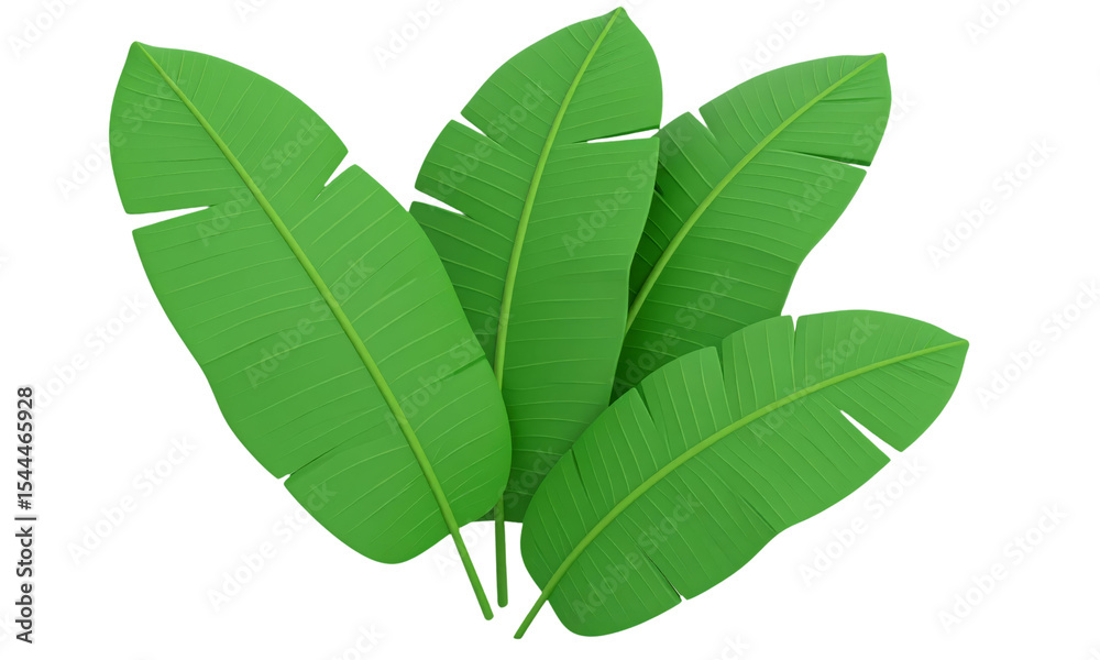 Obraz premium Tropical banana leaf green foliage nature summer jungle isolated botanical fresh lush vibrant decorative exotic plant garden natural eco friendly organic rainforest background design element