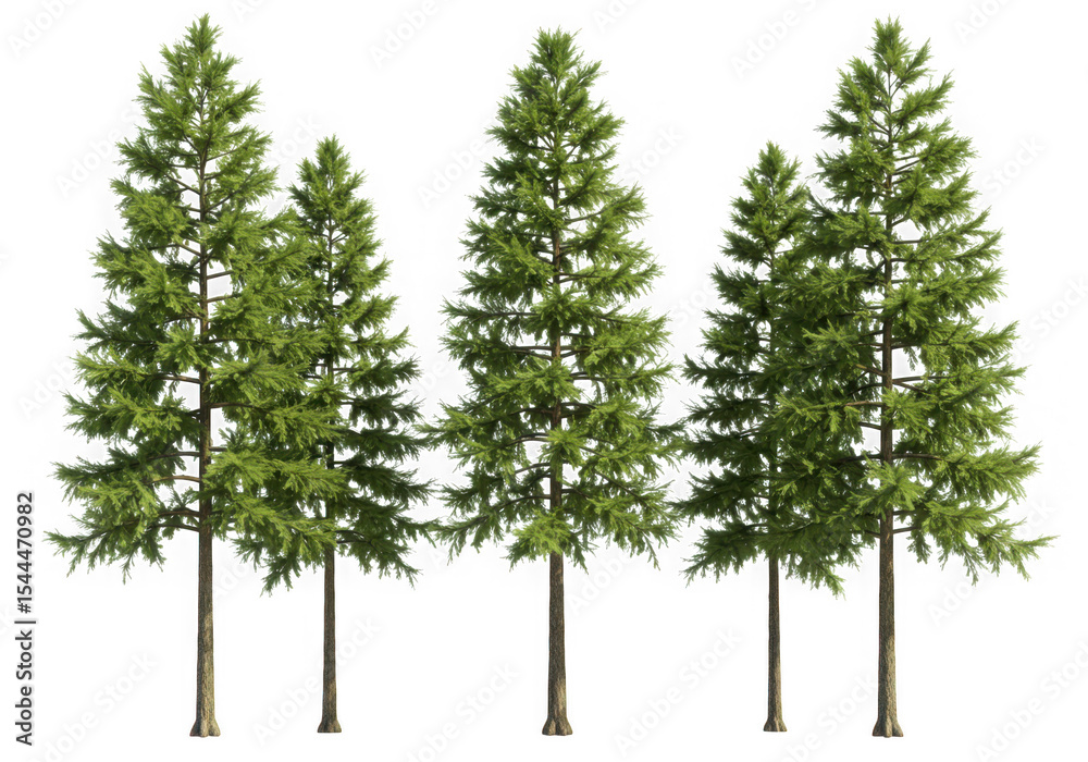 Obraz premium Four evergreen trees isolated on transparent background