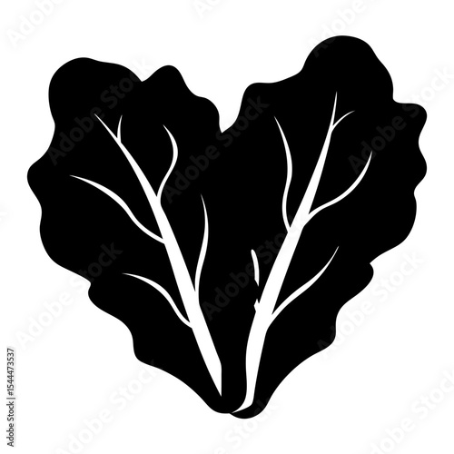 Monochrome vector image of romaine lettuce leaves with prominent leaf veins