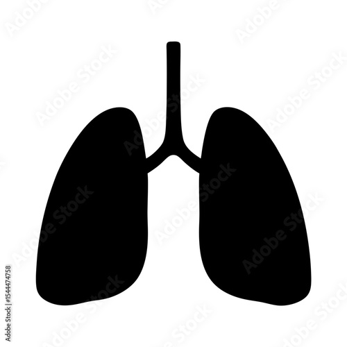 Human lungs in silhouette, anatomical illustration for medical or educational purposes