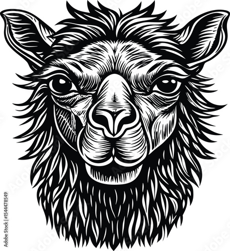 Majestic Llama Head A Striking Black and White Illustration