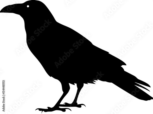 Raven bird silhouette vector, black crow icon, standing raven illustration, spooky bird shape, Halloween animal graphic 