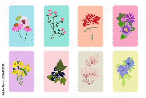 Set di cornici con ricamo colorate con fiori di campo misti disegnati a mano