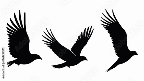 This striking silhouette showcases a majestic eagle in mid-flight, with wings spread wide and talons poised. The bold black outline against white symbolizes freedom, strength, and power.