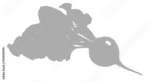 Fresh Beetroot: Whole Red Beet with Leaves & Half Cut, Isolated on White