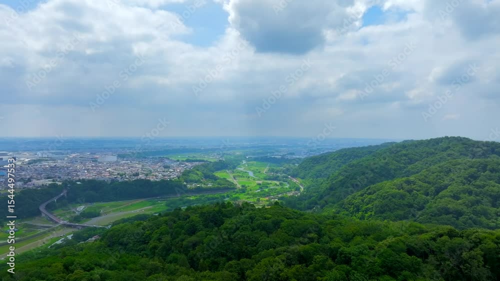六月の山間部の水田 六月の山間部の水田