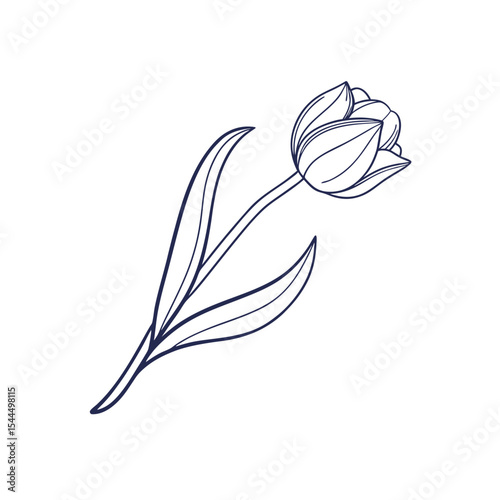 Tulip linear icon. Adobe Illustrator Artwork