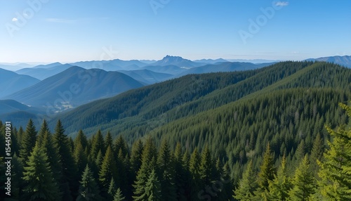 Magnificent Panoramic View Coniferous Forest Carpathian Mountains Blue Sky Background Wild Virgin Ukrainian Nature Peacefulness