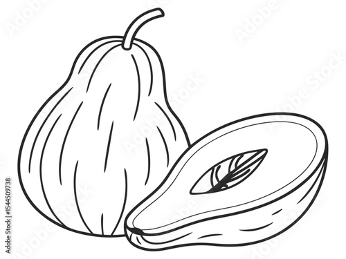 Fresh Chayote Clean Line Drawing