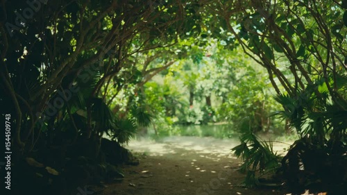 Inside beautiful garden in summer day, green alley with trees and shrubs, relax. Walk in nature in summertime, rest in cool park in hot day, trip to central Asia, exploring natural Vietnam landmarks