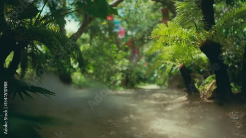 Inside beautiful exotic garden in sunny day in central Asia, smoke on plants. Walk in nature and enjoy calmness and solitude, calm and relaxed, trip to Vietnam, exploring traditional oriental culture