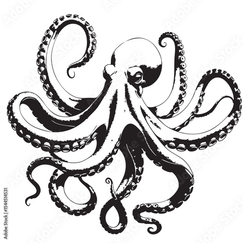 hand drawn octopus