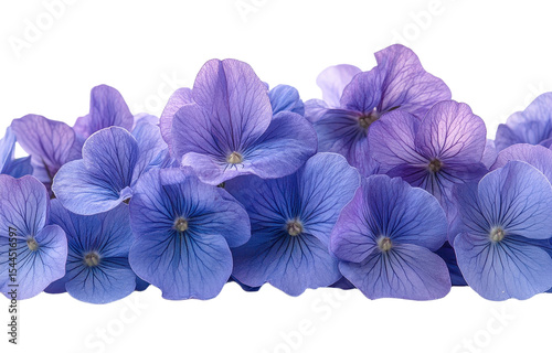 Purple flowers isolated on transparent background. generative ai. photo
