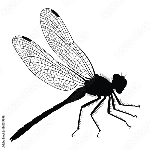 Double-Exposure Dragonfly Silhouette, Vector, Illustration, Icon, Logo, White Background.