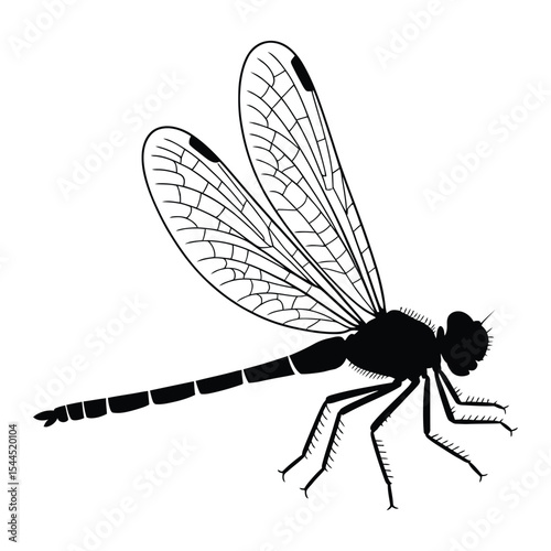 Dragonfly Silhouette, Vector, Illustration, Icon, Logo, White Background.