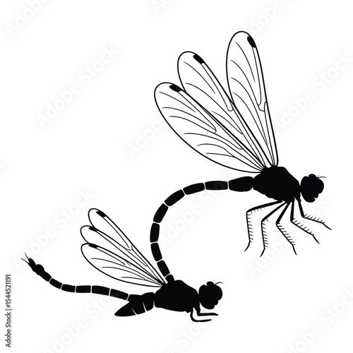 Dragonfly Life Cycle Silhouette, Vector, Illustration, Icon, Logo, White Background.
