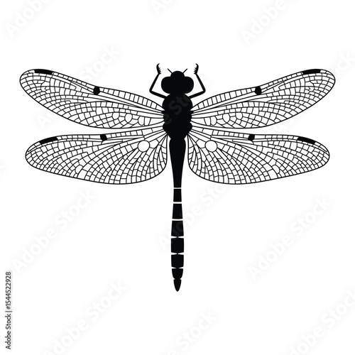 Dragonfly with Water Droplets Silhouette, Vector, Illustration, Icon, Logo, White Background.