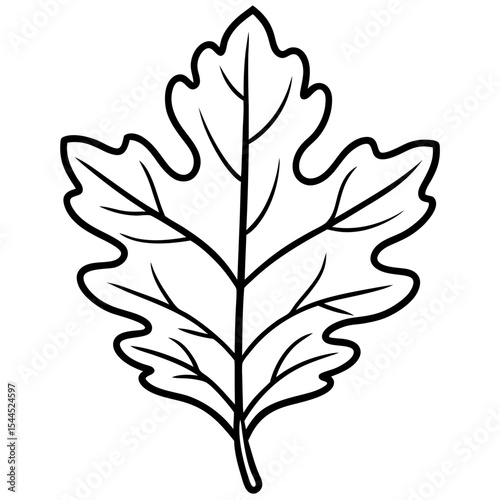 Detailed Oak Leaf with Lobed Edges – Fine Line Art Illustration