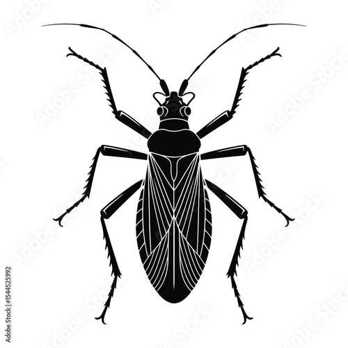 Assassin Bug Silhouette, Vector, Illustration, Icon, Logo, White Background.
