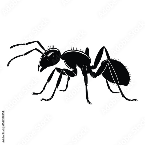 Fire Ant Silhouette, Vector, Illustration, Icon, Logo, White Background.
