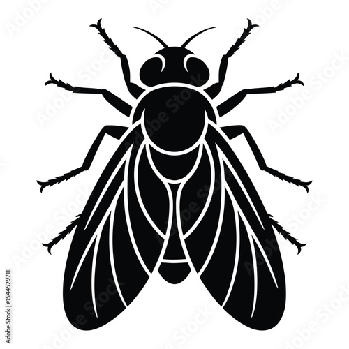Housefly Silhouette, Vector, Illustration, Icon, Logo, White Background.