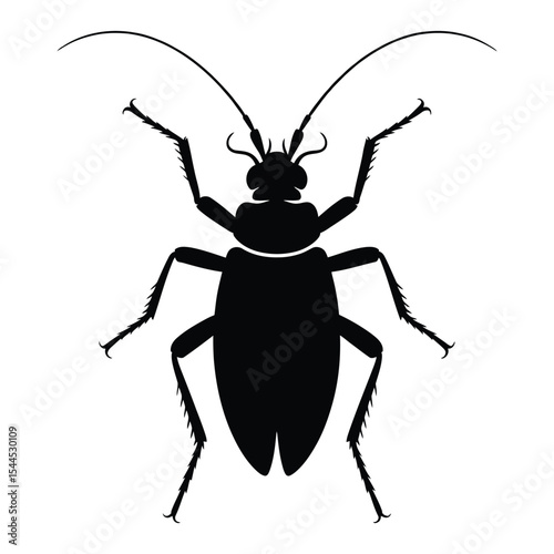 Louse Silhouette, Vector, Illustration, Icon, Logo, White Background.