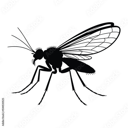 Midges Silhouette, Vector, Illustration, Icon, Logo, White Background.