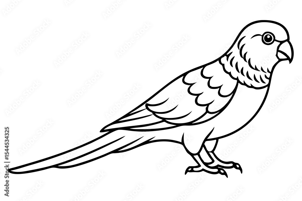 Obraz premium Minimal Lorikeet Bird on White Vector