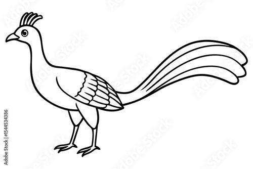 Minimalist Lyrebird Silhouette on White