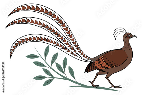 Stylized Lyrebird Bird on White Background
