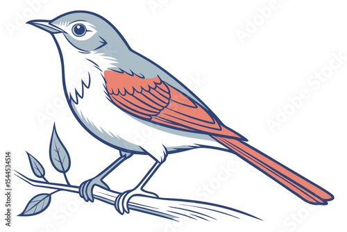 Elegant Nightingale Line Drawing Art