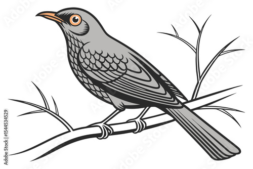Nightingale Bird Vector on White Background