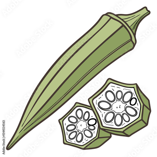 Fresh Okra Clean Vector Drawing