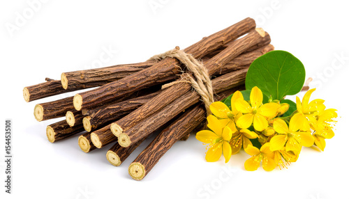 Chinese licorice plant with yellow flowers