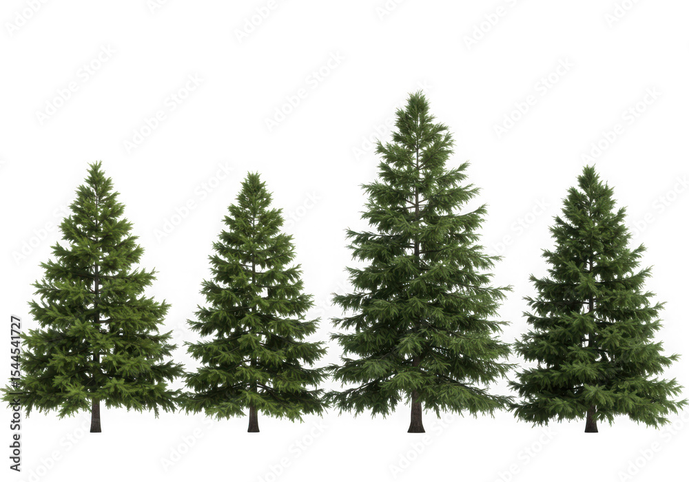 Fototapeta premium Four evergreen trees of varying heights isolated on transparent background