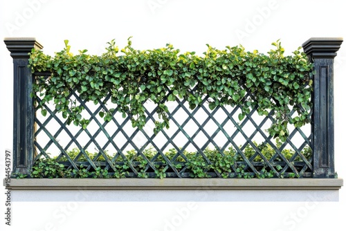 Ivy climbs an ornate lattice fence creating a lush peaceful garden retreat on white background. Generative Ai