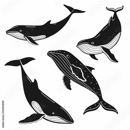Whale Silhouettes Vector Set on White Background