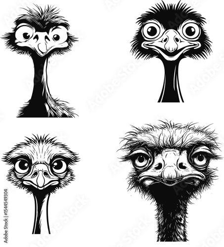 Funny cartoon Ostrich animals set with big eyes for a whimsical nature vector illustration 