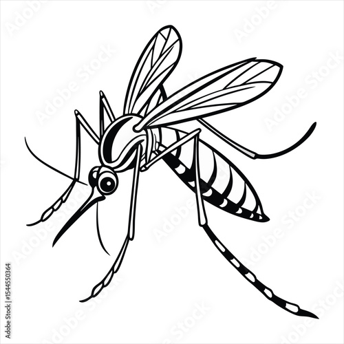 Black and white mosquito, vector illustration,white background.