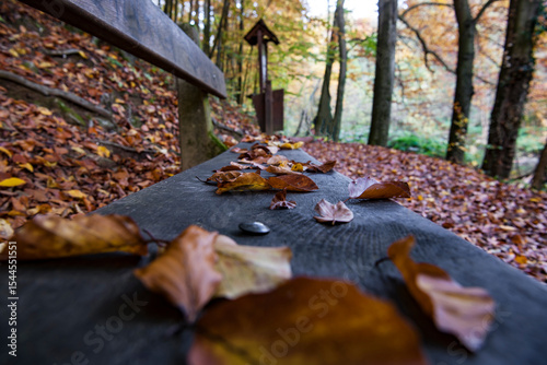 Autumn colors in Hungary