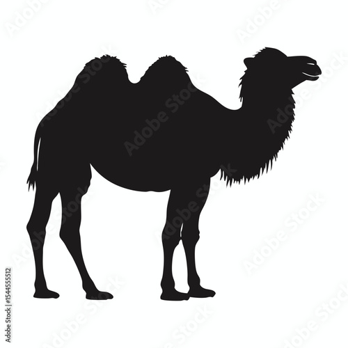 camel vector illustration